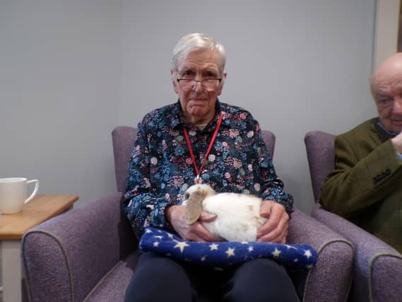 Bob enjoying a cuddle with the Rabbit