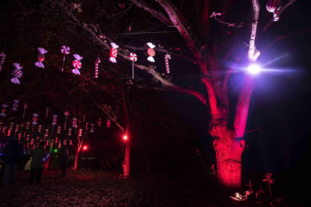 Take a look around the winter light trail, which is now open and will be until December 31.