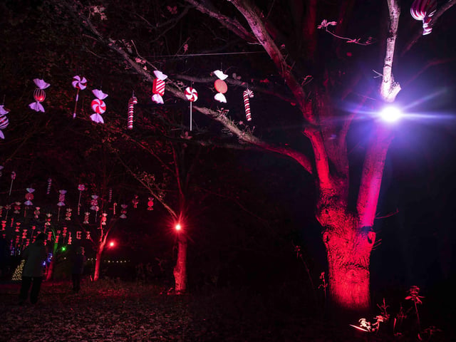 Take a look around the winter light trail, which is now open and will be until December 31.