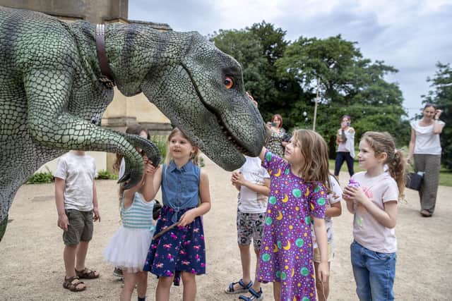 The Dinosaur in the Park event is coming to Delapre Abbey next month. Photo by Kirsty Edmonds.