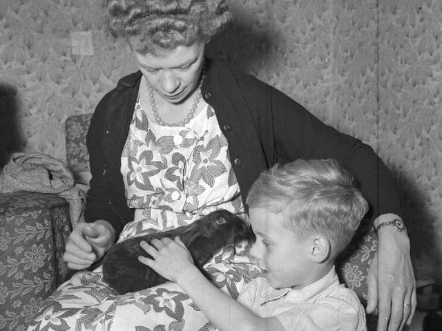 A mother and son with their pet rabbit
