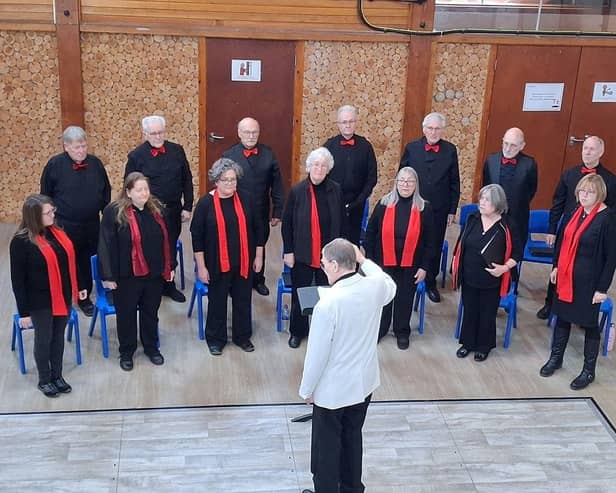 The Ensemble of Friends performing at Meldreth Manor school