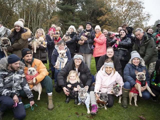 The French Bulldog Meet & Walk group’s Christmas walk at Hunsbury Hill Country Park on Sunday December 4, 2022.