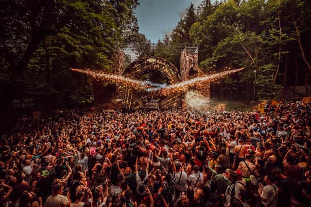 Forbidden Forest 2025