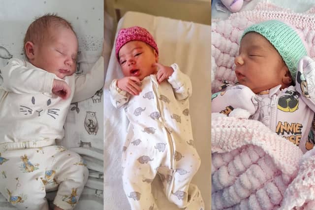Some of the babies born in June 2023.