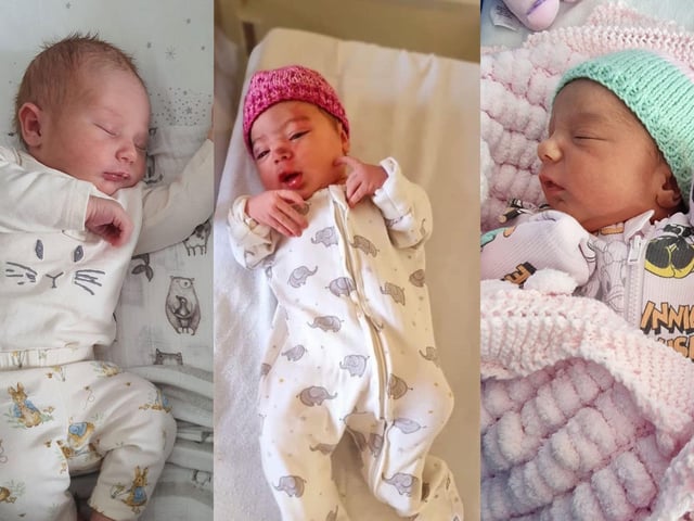 Some of the babies born in June 2023.