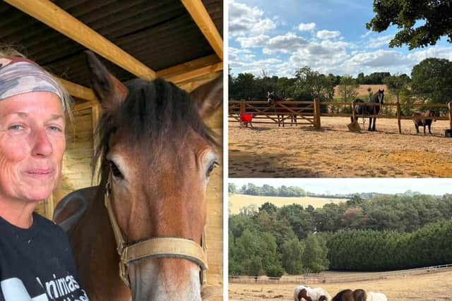 Animals In Need is in need of hay for its animals