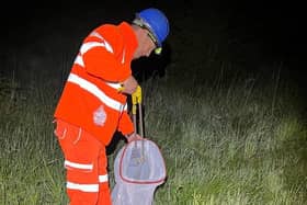 Picking up litter on the A43 roadside at night