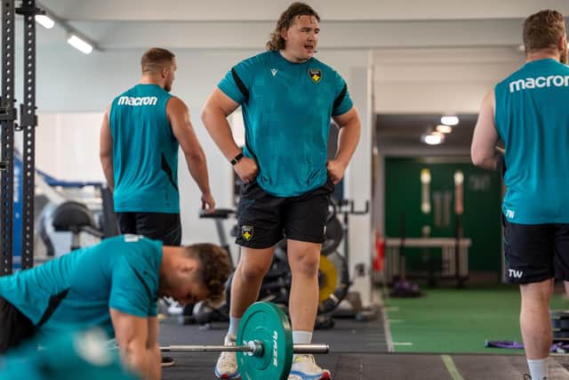 JJ van der Mescht (picture: Northampton Saints)
