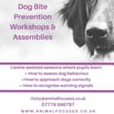 Dog bite prevention workshops from Animal Focused.