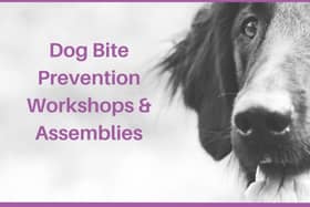 Dog bite prevention workshops from Animal Focused.