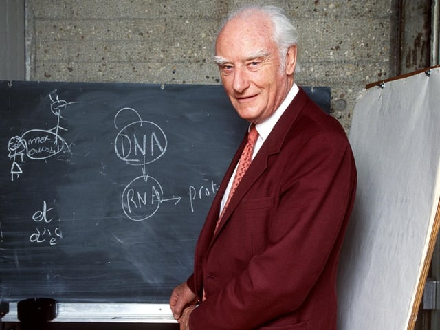 Francis Harry Compton Crick, pictured here in 1993 in front of a blackboard, explaining his work to discover the molecular structure on DNA for which he shared the 1962 Physiology and Medicine Nobel Prize with US geneticist James Dewedy Watson and Maurice Wilkins. Crick was born in 1916 in Northampton. A critical influence in Crick's career was his friendship, beginning in 1951, with J. D. Watson, then a young man of 23, leading in 1953 to the proposal of the double-helical structure for DHA and the replication scheme.