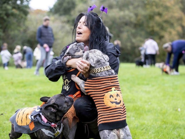 Around 60 French Bulldogs dressed up in spooky costumes for a special walk at Hunsbury Hill Country Park on Sunday (October 29).