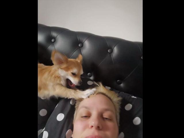 Duke said: "Get up, you lazy human."