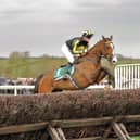 Earlshill and Annabel Burton clear this fence on the way to winning at Edgcote