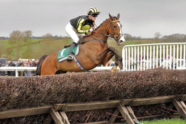 Earlshill and Annabel Burton clear this fence on the way to winning at Edgcote
