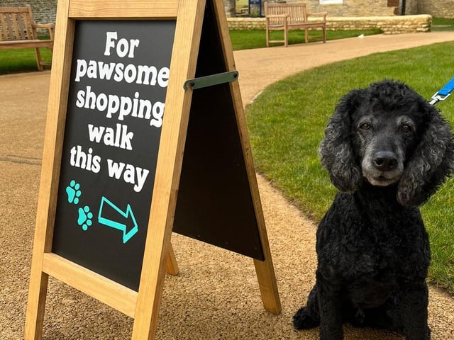 Hosted by Chester House Estate in Wellingborough, Woof Fest will see dog trainer talks, Flyball demonstrations, an artisan market and a Puppuccino stand.
Taking place on Saturday (June 10), 10am - 4pm, the festival is in partnership with The Canine Cottage.
There will also be a "fun" dog show from 11am - 3pm, where dogs can enter as many categories as they like, including Waggiest Tail, Best Rescue and Golden Oldie (+7 years).