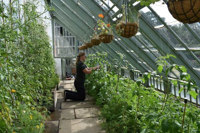 Community garden in Delapré Abbey, Northampton, funded by Firethorn Trust (Credit: Groundwork UK)