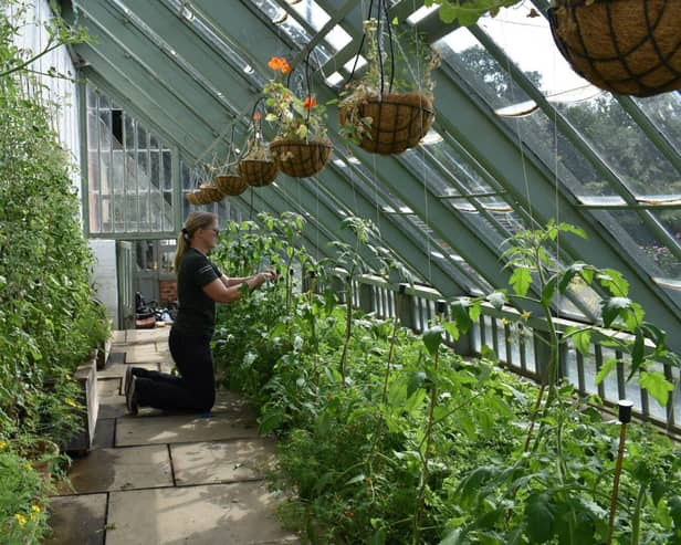 Community garden in Delapré Abbey, Northampton, funded by Firethorn Trust (Credit: Groundwork UK)