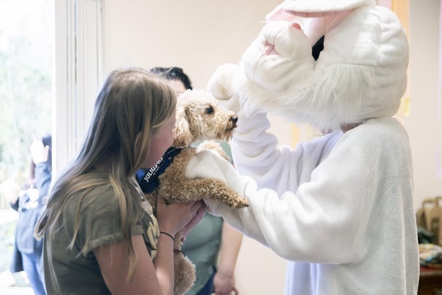 The Easter event took place at Teddy’s Dog Care in Wootton on Saturday, April 8 2023.