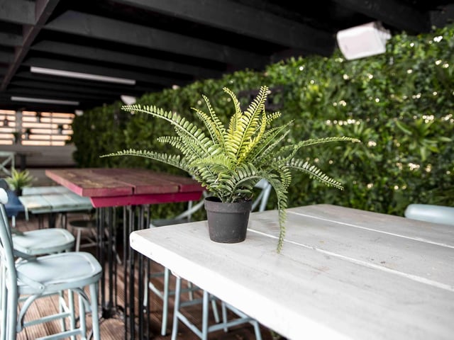 The pub has been transformed into a 'destination' cocktail bar and will reopen on Friday (April 29)