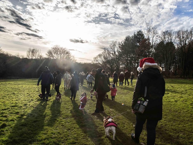 Around 60 French Bulldogs dressed in festive outfits for the annual Christmas walk at Hunsbury Country Park on Sunday December 15.