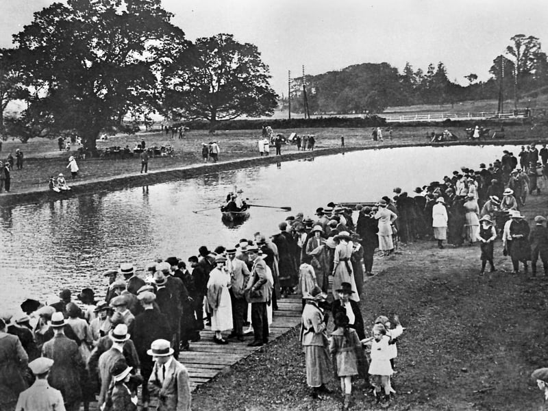 A busy day at the park