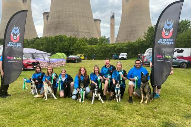 The Molten Magnets flyball team.