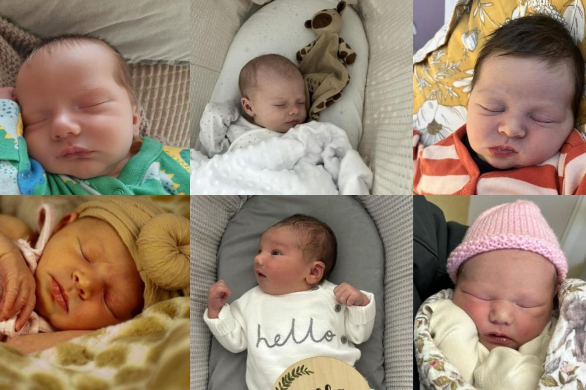 Some of the babies born in Northampton over the course of 2024...