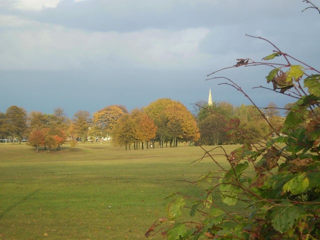 The Racecourse is a huge open space located in the centre of Northampton to enjoy an Autumn walk
