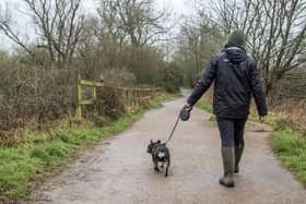 The Wildlife Trust is urging Northants dog owners to keep their pets on leads at county sites (Credit: Holly Wilkinson)