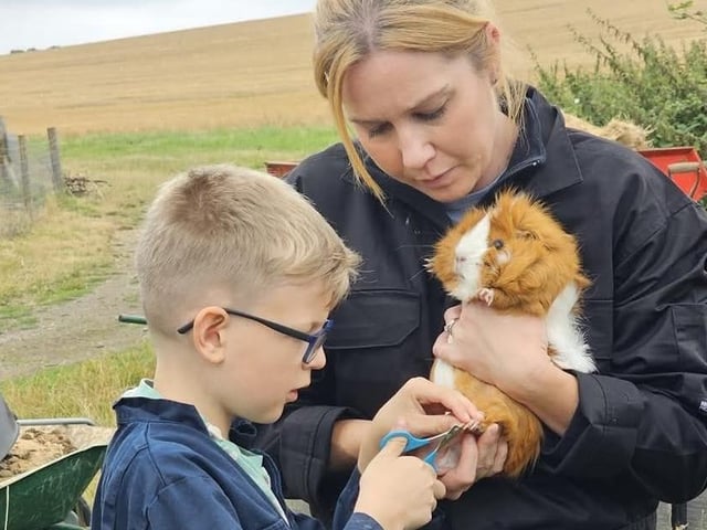 Animal Care at the farm