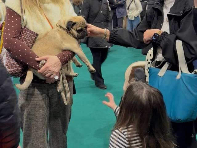 Meeting and greeting the crowds