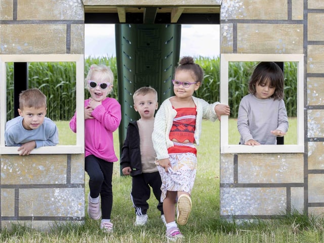The sunflower field and maize maze is now open for family days out during the summer holidays.
