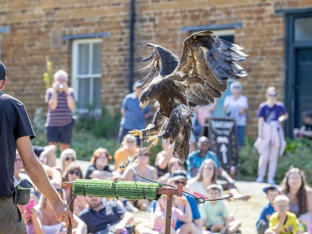 Families visited Delapre Abbey on Sunday August 17 to meet and learn about birds of prey.