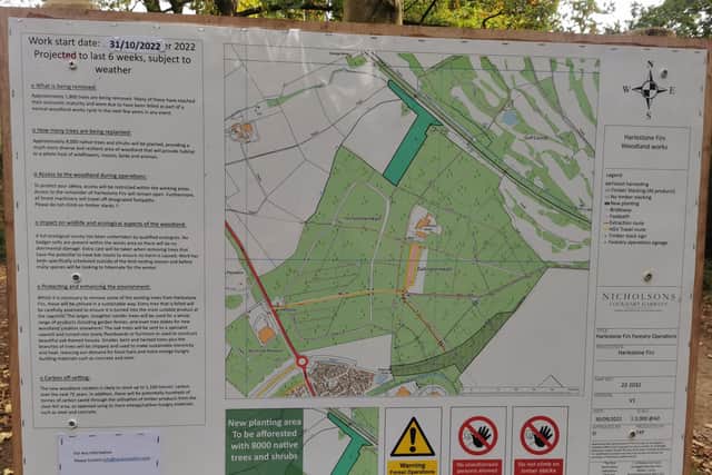 The felling plans are listed on a noticeboard in Harlestone Firs