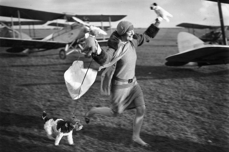 The Honourable Mrs Chesterman retrieves the toy animals dropped by a parachute at a Northampton Aero Club meet in November 1929.