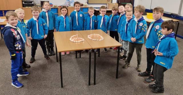 Beavers Celebrating