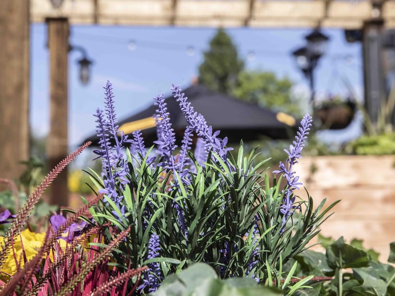 The Harlestone Road pub's garden has had a stylish makeover