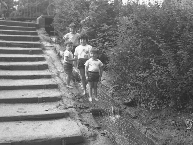 Looking Back
old glass negs
July 25, 1966
"Roamers"
children standing in stream cascade