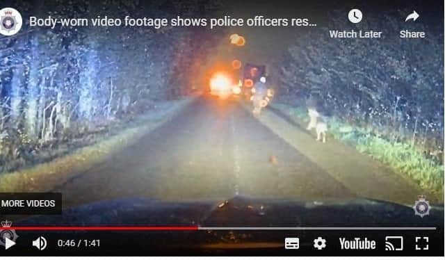 Police have released the footage