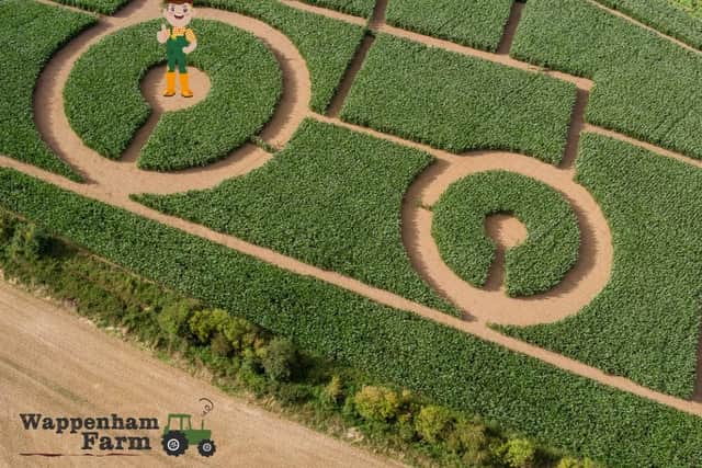 The maze will open this weekend. Photo: Wappenham Farm/Facebook.