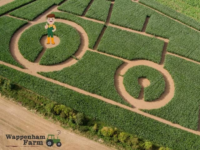 The maze will open this weekend. Photo: Wappenham Farm/Facebook.