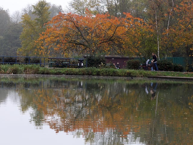 Corby Boating Lake is perfect for people who want to see a great deal of wildlife