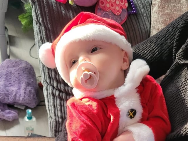 12-week-old Harper.