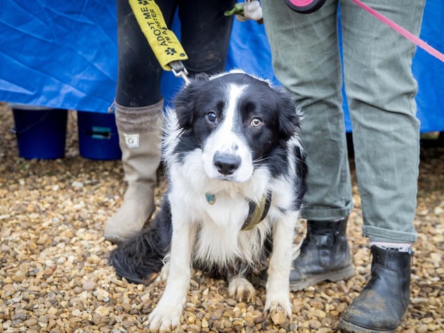 The community was invited to the hidden gem location, situated at Pitsford Quarry on Harborough Road, to enjoy the relaxed woodland market celebrating the best of local small businesses.