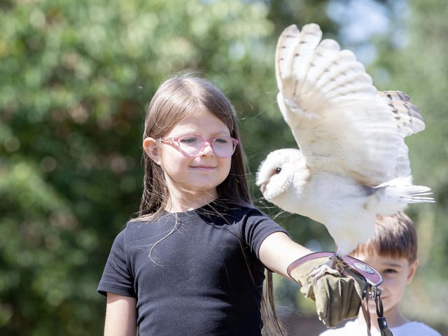 Families visited Delapre Abbey on Sunday August 17 to meet and learn about birds of prey.
