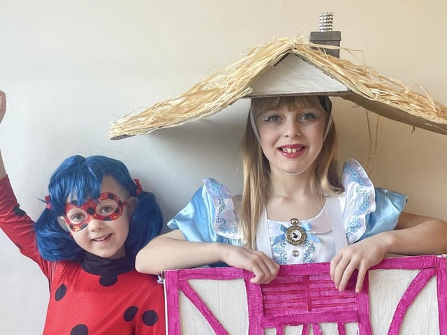 Ivy, aged six, as Ladybug and Amber, aged seven, as Alice.