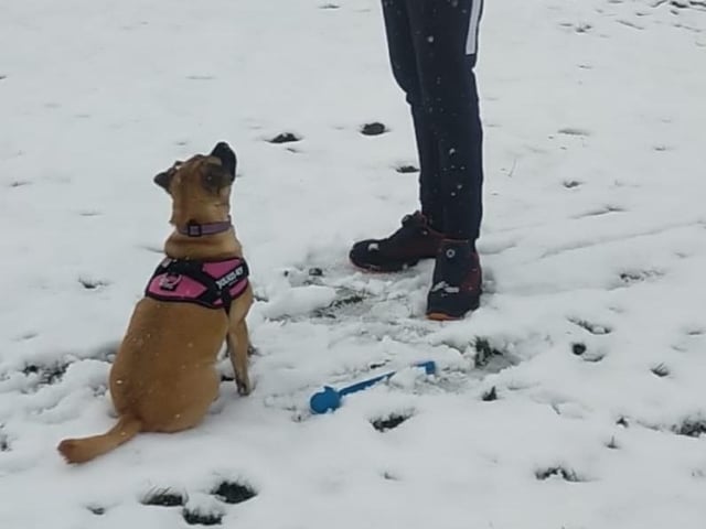 Almost a snowball fight in Kingsthorpe Mill.
