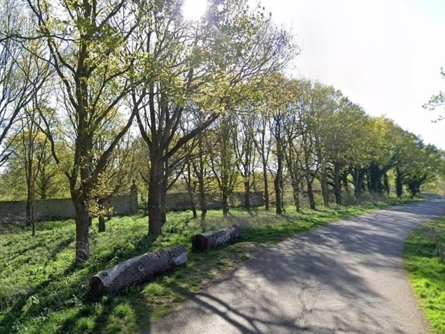 Althorp Tree Alley received 4.9 stars in Google reviews, the best rated walk in this guide, with one saying "a beautiful walk, especially with the wildflowers at the moment. Park at the church in Great Brington, and enjoy the stunning view!" and another one saying "very pretty tree avenue, ideal for dog walking".